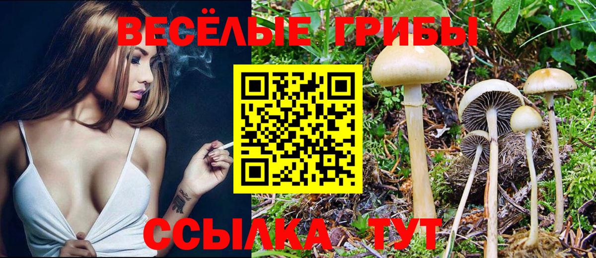 Галлюциногенные грибы Magic Shrooms  Вход с VPN  дарнет шоп  Владикавказ 